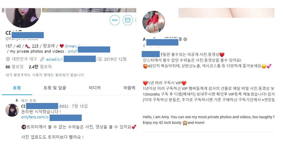 미성년자 제한없는 불법 음란물 온리팬스 국내 확산...당국 대응 시급