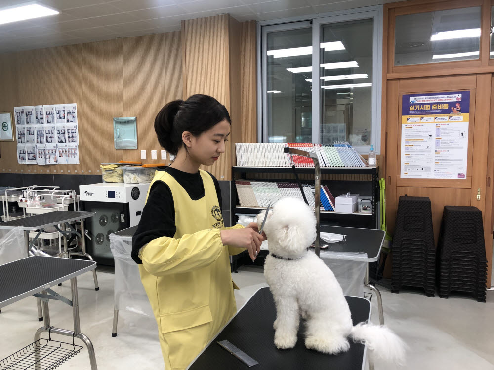 [취업 걱정없는 명품학교]〈339〉한국펫고등학교