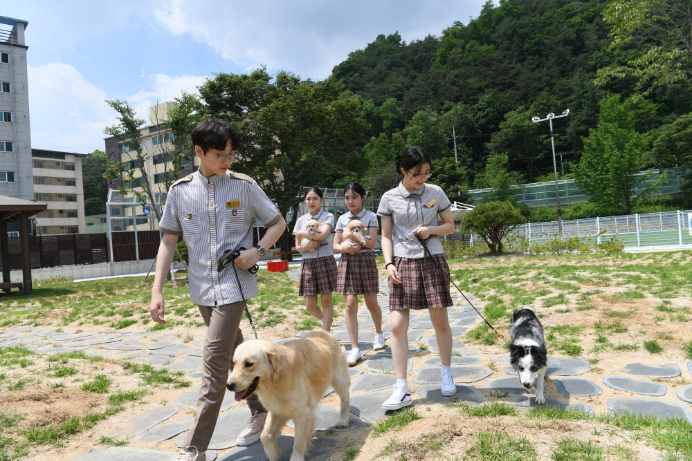[취업 걱정없는 명품학교]〈339〉한국펫고등학교