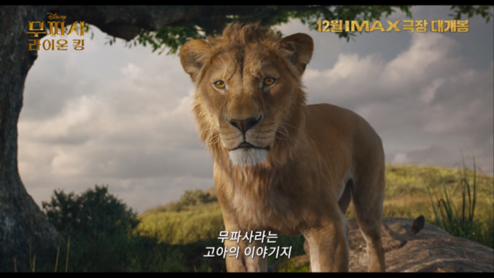 디즈니 실사화 무파사: 라이온 킹 메인포스터 · 예고편 공개