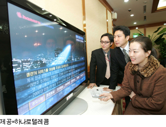 하나로텔레콤 TV포털 성공여부 글쎄