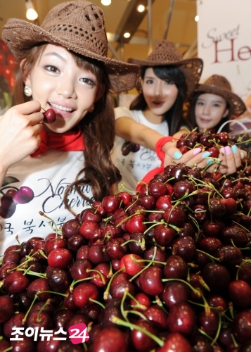 [포토]웰빙푸드, 체리를 맛보세요!
