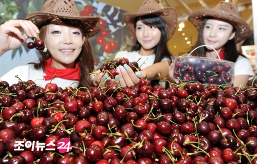 [포토]웰빙푸드, 체리를 맛보세요!