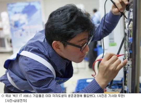 각자도생 무주공산 IT서비스 읽는 두 가지 키워드