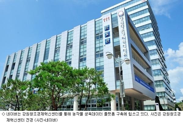 네이버-카카오 스마트팜 육성 박차