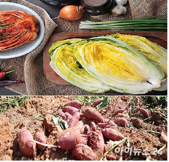 전남 해남군 미남축제 오는 12일 개막