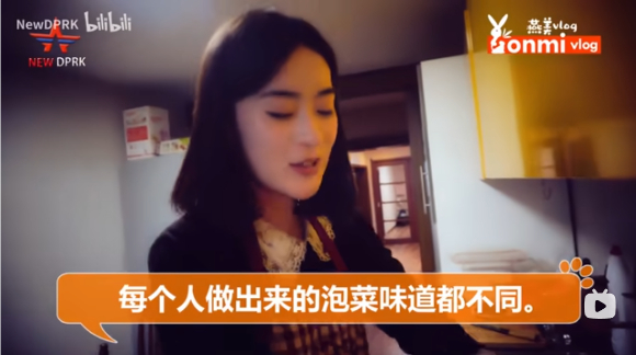 평양이 자랑스럽다 분홍색 투피스 입은 北 연미의 브이로그