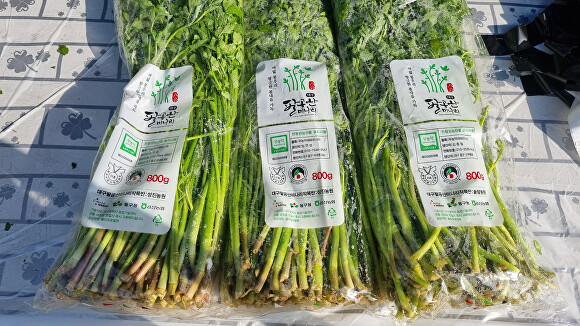 대구 동구, 청정 팔공산미나리 소비촉진행사 개최