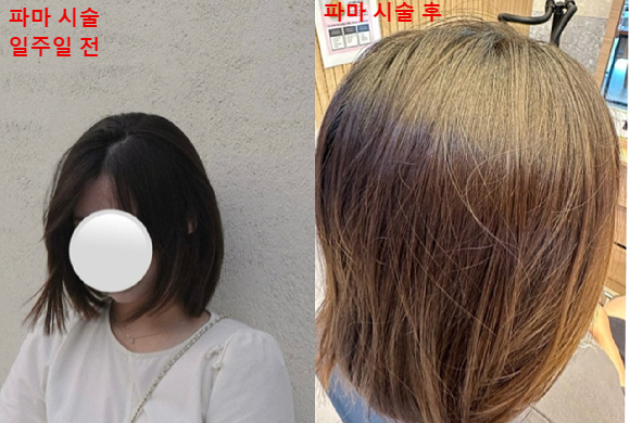 30만원 주고 했는데…머리 망쳐도 환불 절대 불가라는 유명 미용실
