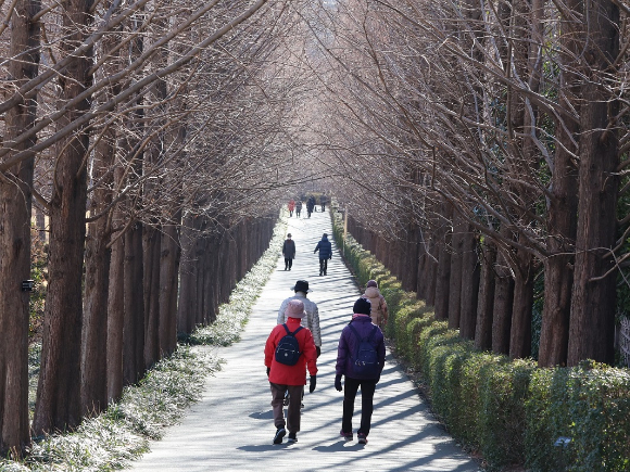 [내일날씨] 추위 조금씩 물러간다…수도권은 미세먼지 나쁨 주의