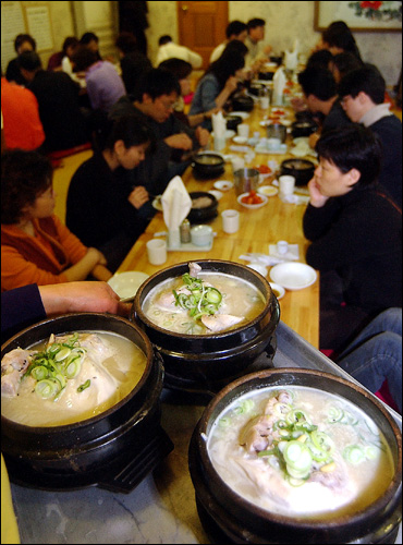 ［포토뉴스］삼계탕집 ‘북적’