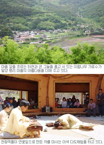 [그린 어메니티] 20. 경남 밀양 평리마을