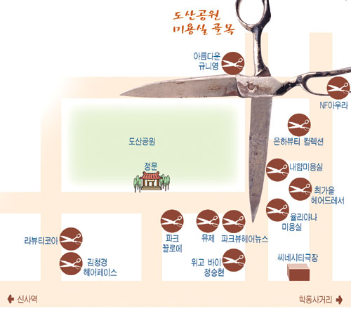 도산공원 주변 미용실 골목 새 명소로