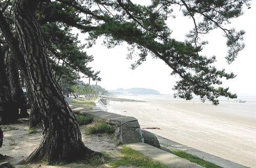 [희망의 그물짜기] 2. 예금보험공사와 고창 동호마을