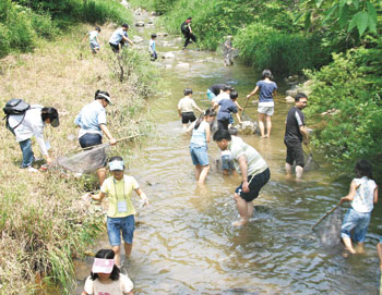 [新 그린어메니티] 쪽대 천렵하다 장뇌삼  ‘심봤다’