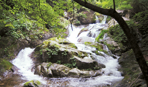 [한국의 숲, 한국의 명산](12) 경기 가평군 명지산