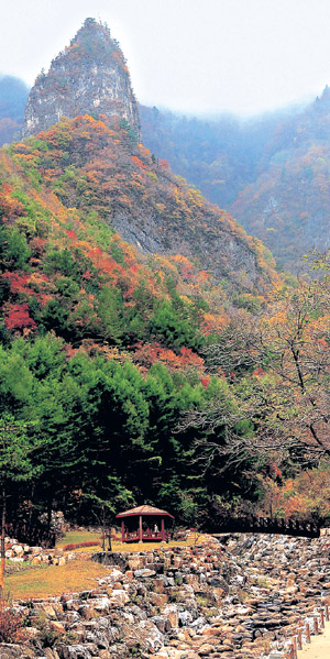 [한국의 숲, 한국의 명산](21) 강원 삼척시 덕항산