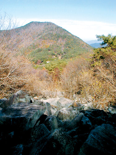 [한국의 숲, 한국의 명산](31)경남 고성군 연화산