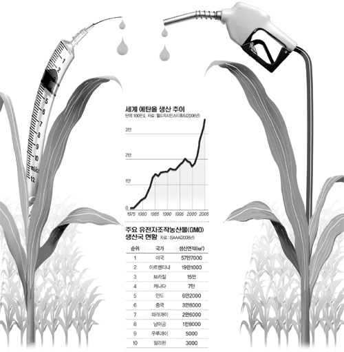바이오연료는 ‘주범’ GMO는 ‘대안’ 논란