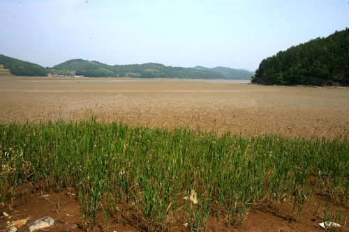 사천 광포만 산업단지 ‘청신호’
