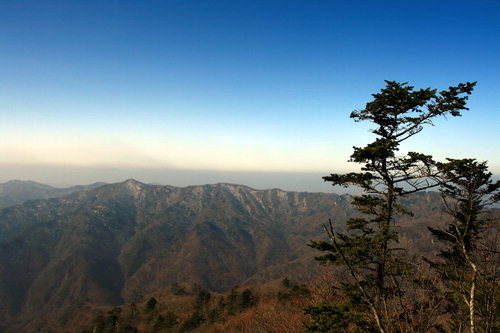 [한국의 숲, 한국의 명산](98) 강원 영월·평창·횡성 백덕산