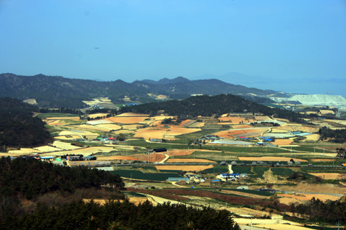 [新택리지]한발 먼저 계절을 맞이하다, 보배의 섬 진도