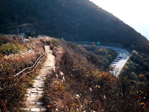 [길,숲,섬]지리산 서북능선에 서다, 정령치 가는 길