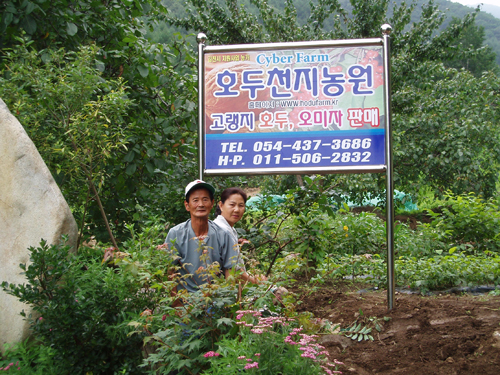 [유망브랜드 대상]우리땅이 길러낸 알차고 고소한 호두! ‘호두천지농원’