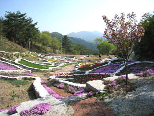 [한국의 캠핑장]동화나라 캠핑마을, 포천 유식물원 캠핑장