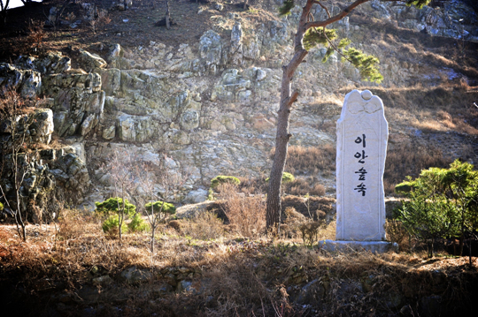 [한국의 캠핑장]특별한 추억을 쌓는 곳, 공주 이안숲속 캠핑장