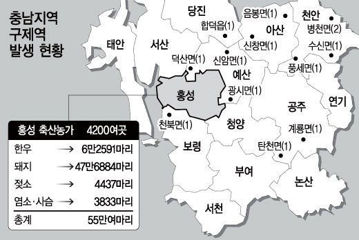 구제역에 포위당한 홍성을 구출하라