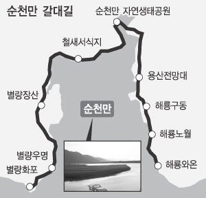 ‘남도삼백리’ 순천만 갈대길 개방