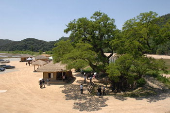 경북 예천 삼강주막 9월까지 주말 공연