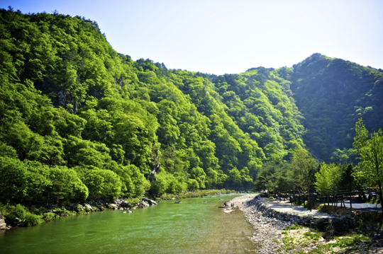 [한국의 캠핑장]산을 섬으로 만든 물길에서, 영월 리버힐즈오토캠핑장