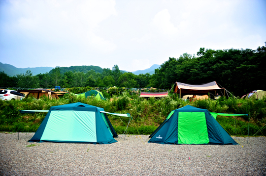 [한국의 캠핑장]달달한 머루향에 잠들다, 파주 산머루농원 캠핑장