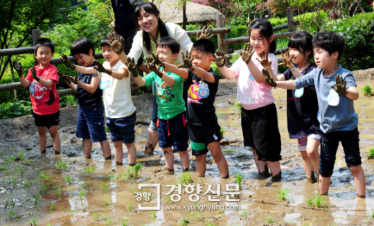 [경향포토]모내기는 즐거워