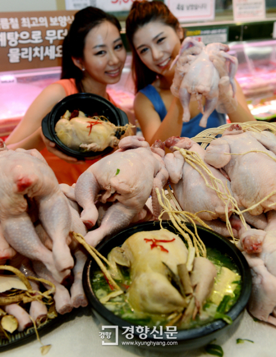 [경향포토]롯데마트, 삼계탕용 큰 닭 선보여
