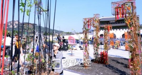 [경향포토]종로 국제 꽃 장식 축제