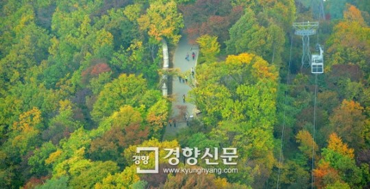 남산 이미지