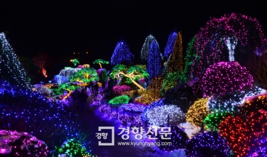 [경향포토]아침고요수목원 별빛정원