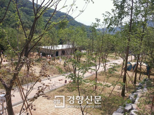 대구 팔공산에 오토캠핑장... 26일 개장