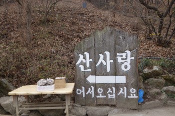 [주혜진 기자의  싼집맛집]건강한 자연식 ‘산사랑’