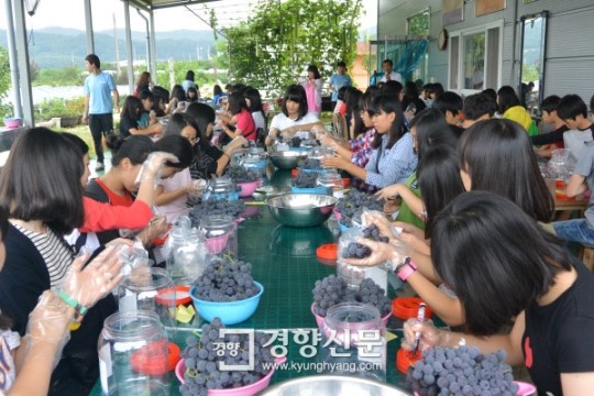 포도 따고 와인 만들며 관광도 즐기고…23일부터 ‘영천와인투어’