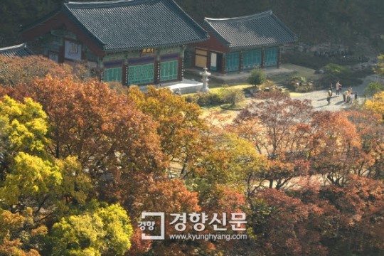 산사서 나를 비우니 참 행복이 채워지네… 충북 영동 반야사 ‘템플스테이’를 가다