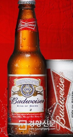 수입맥주가 소주 이겼다…올해 매출 ‘껑충’