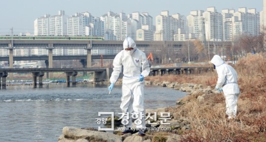 [경향포토]서울도 안심할수 없다