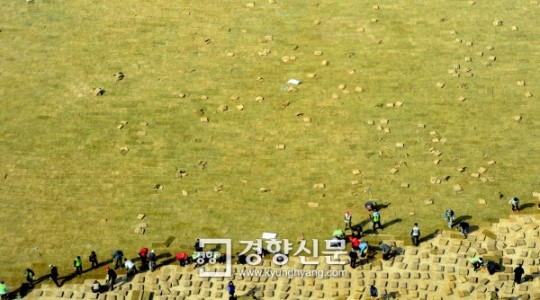 [경향포토]4월 25일부터 개방되는 새 잔디 서울광장