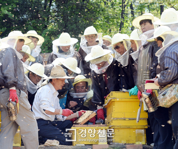 [경향포토]도시에서 꿀 채밀