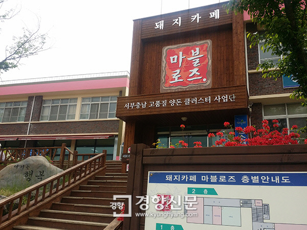 도·농 상생 돼지카페 ‘마블로즈’를 아시나요?