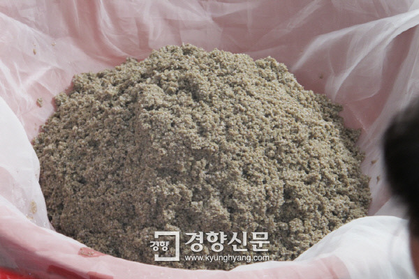 명품 벌교꼬막 자원회복 청신호